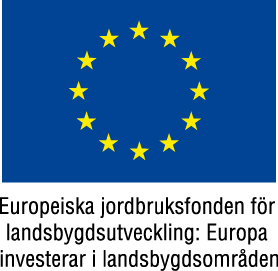S_102_100_eu-flagga-europeiska-jordbruksfonden-faerg