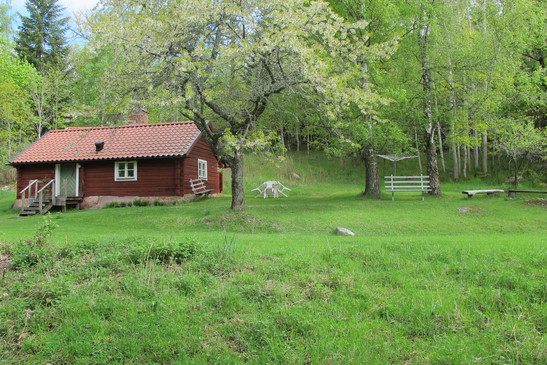 S_547_365_img-2260