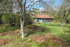S_244_163_img-2302-1