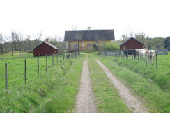 S_244_163_img-2273-1